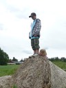 Heinäkasa