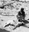 libya1(i)