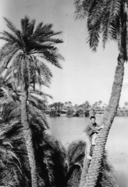 libya25